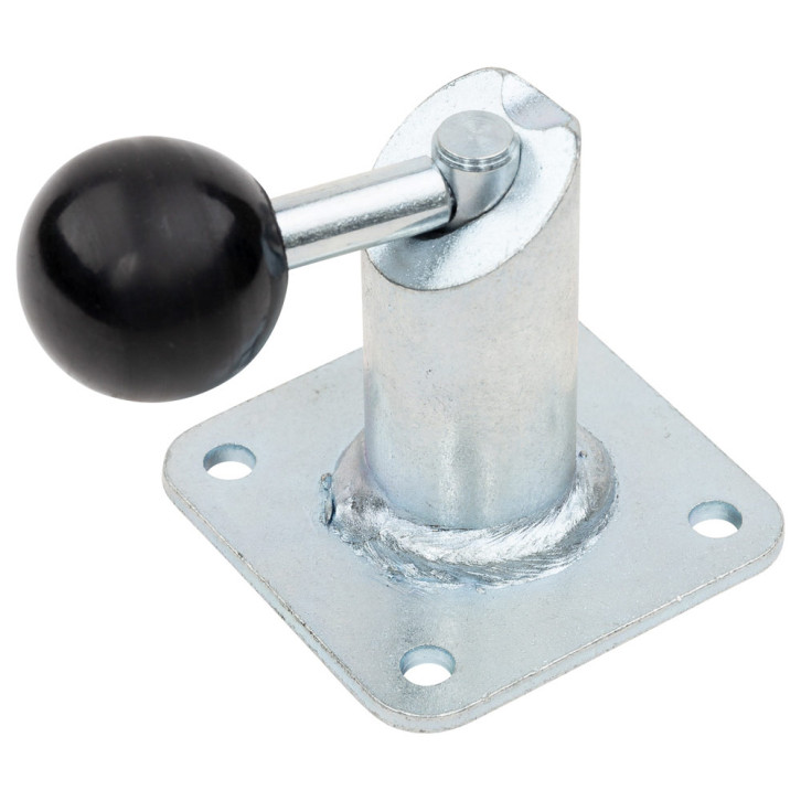 Screw-on plate with locking pin completely mounted 