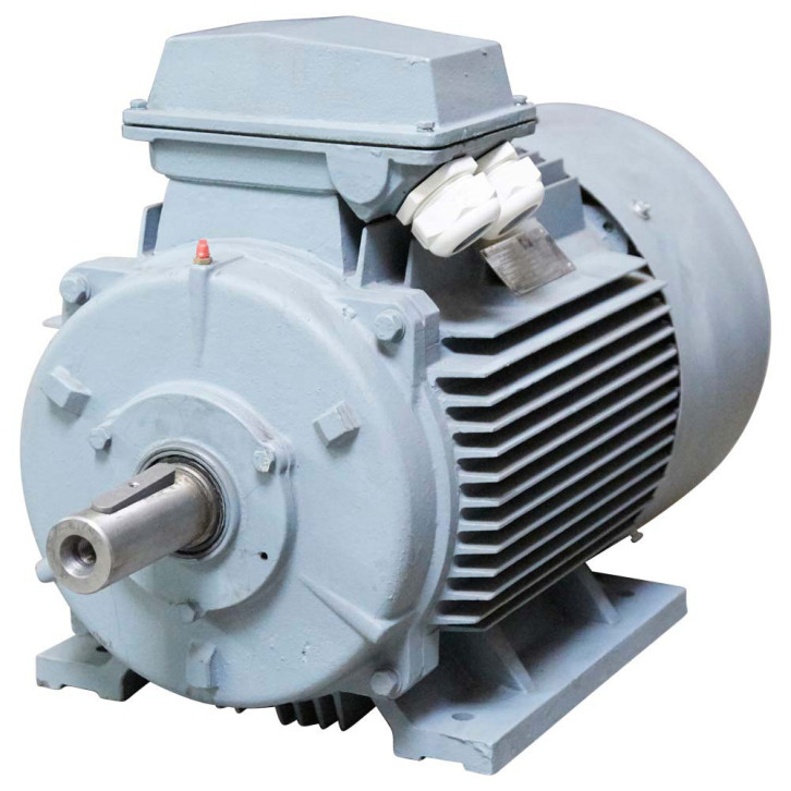 Electric motor 