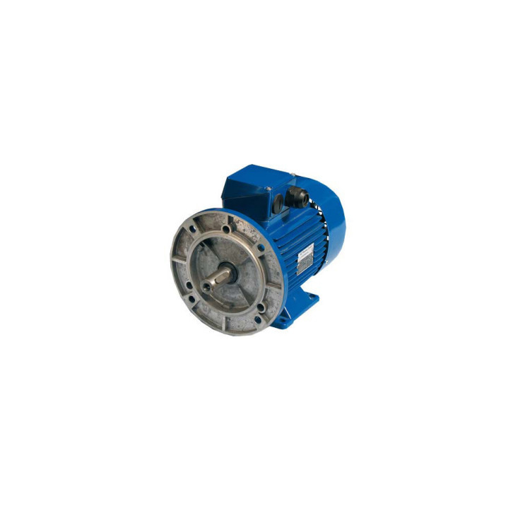 Electric motor 