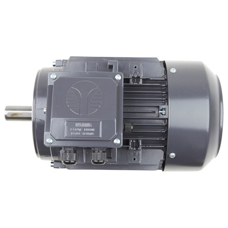 Electric motor 
