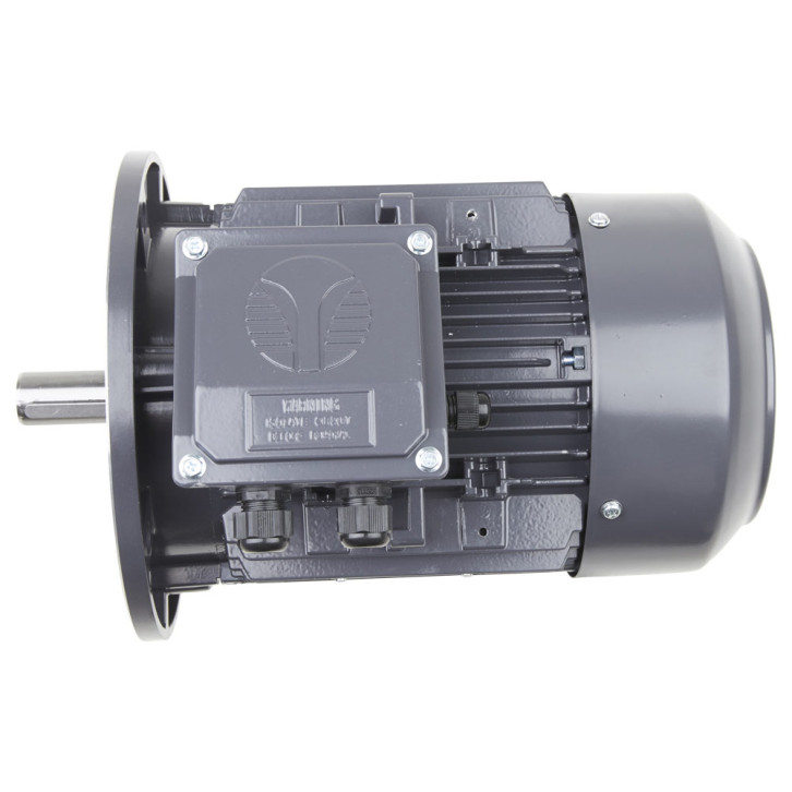 Electric motor 