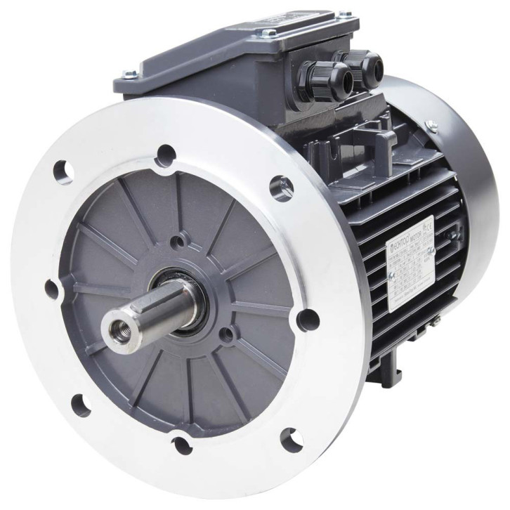 Electric motor 