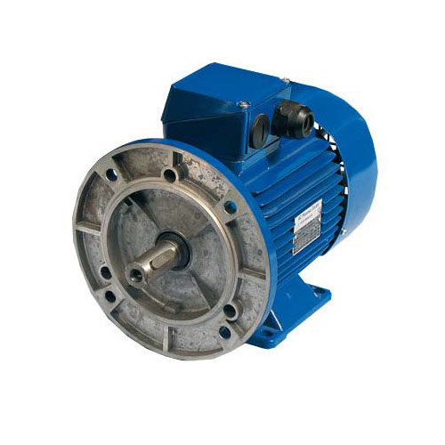 Electric motor 