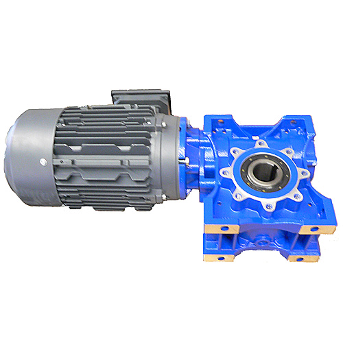 Schneckengetriebemotor ATEX (Aufpreis) 