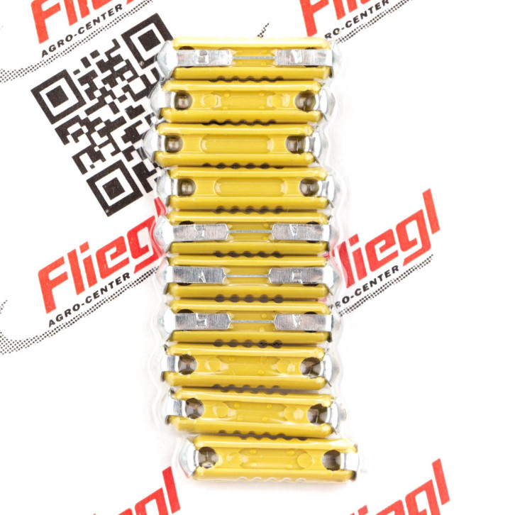 Fuse 10 pcs./pack 