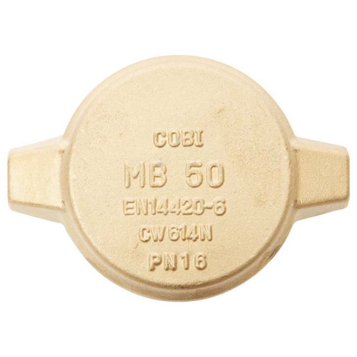 Blind plug for tanker 