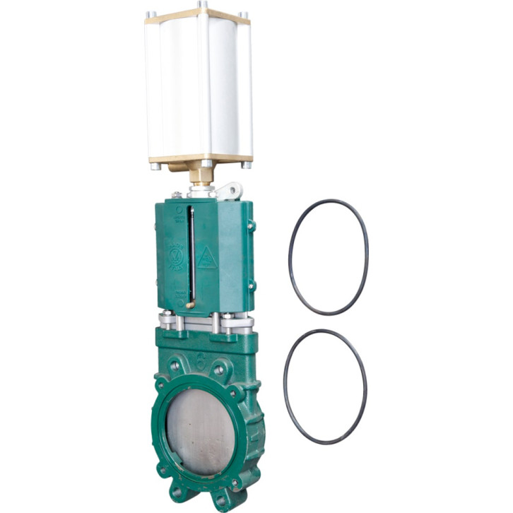 Plattenschieber pneumatisch DW - MZ10E 