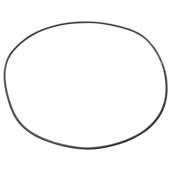 O-ring inside for Battioni slewing ring 