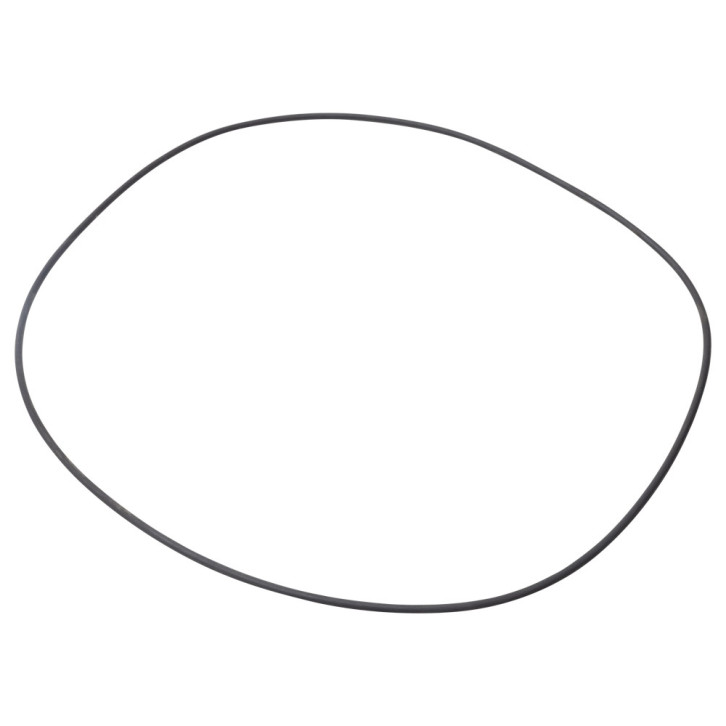 O-ring inside for Battioni slewing ring 