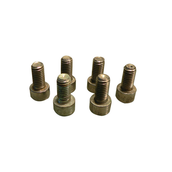 Zylinderschraubensatz (6 Stück) 