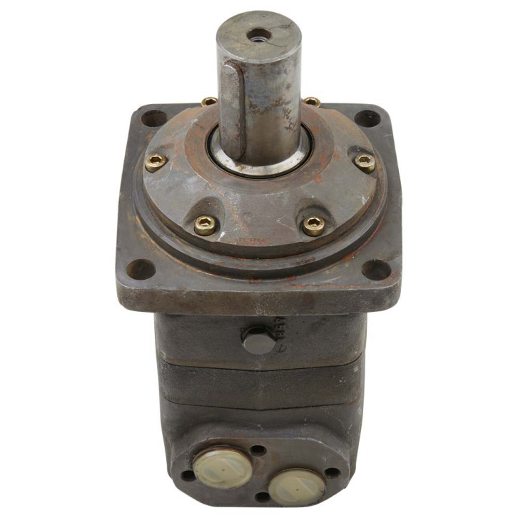 Hydraulic motor 