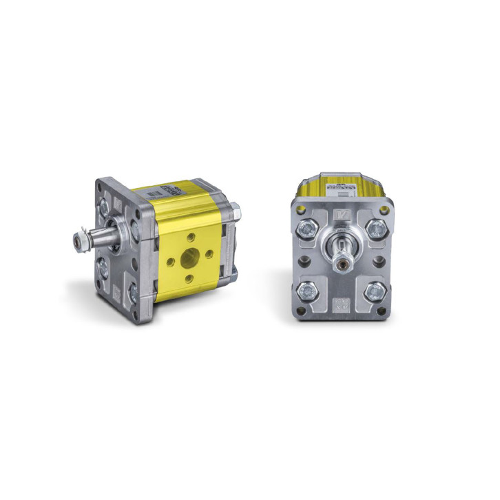 Gear motor / hydraulic motor 
