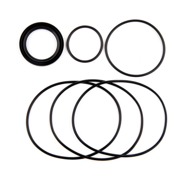Seal kit for oil motor 