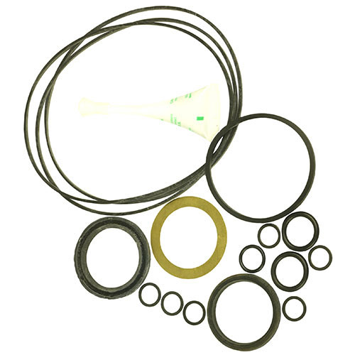 seal kit for oil motor 