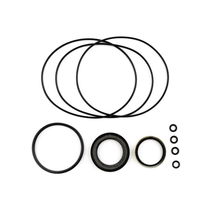 Seal kit for oil motor 