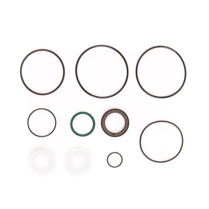 Seal kit for oil motor 