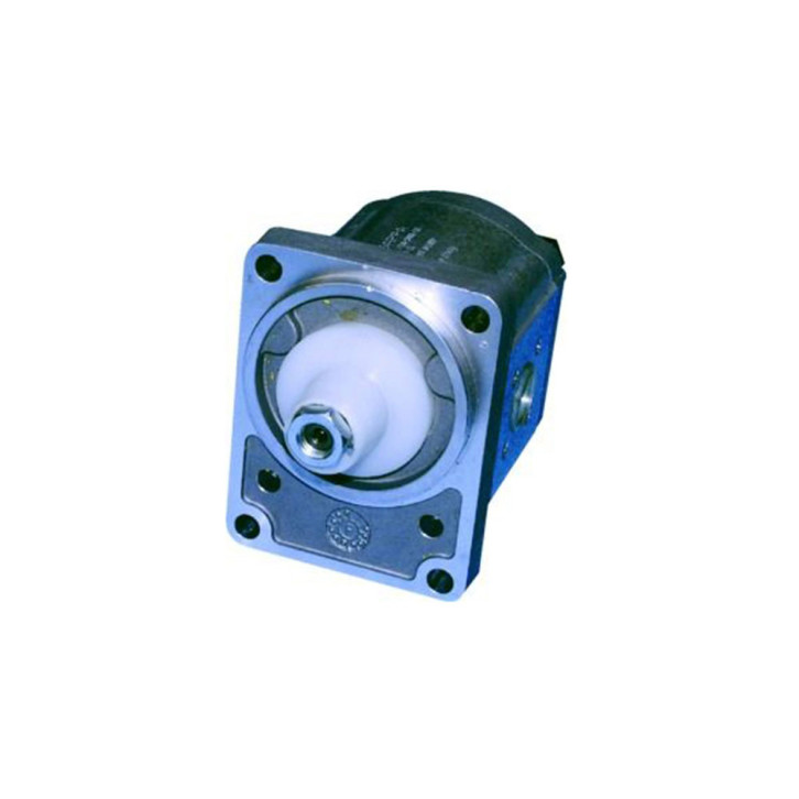 Hydraulic pump with flange 