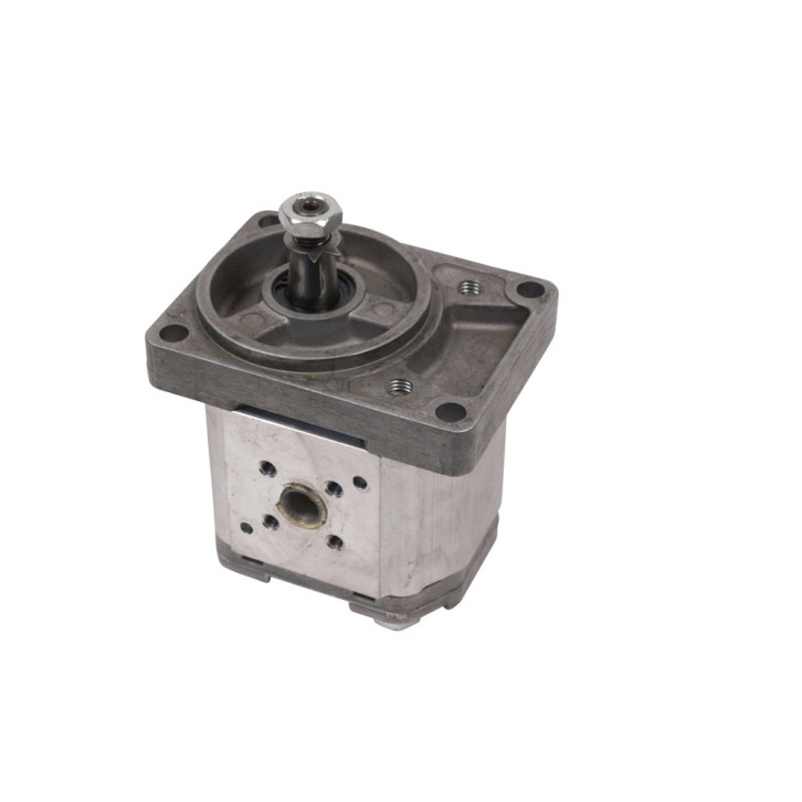 Hydraulic pump with flange 