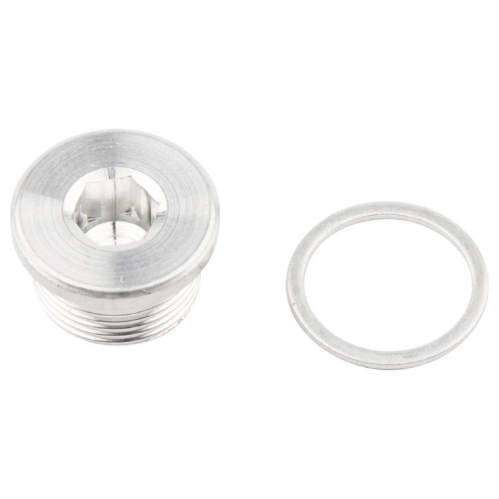 Magnetic oil drain plug with hexagon socket 