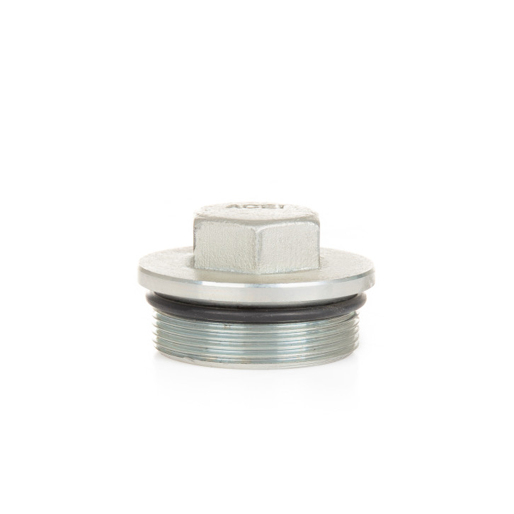 Screw plug 