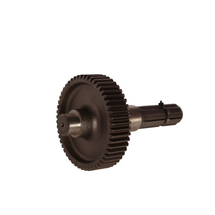 Drive gear wheel 