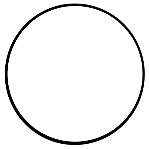 O-ring 