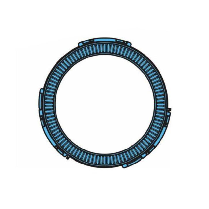 Ring Polrad Z=100 