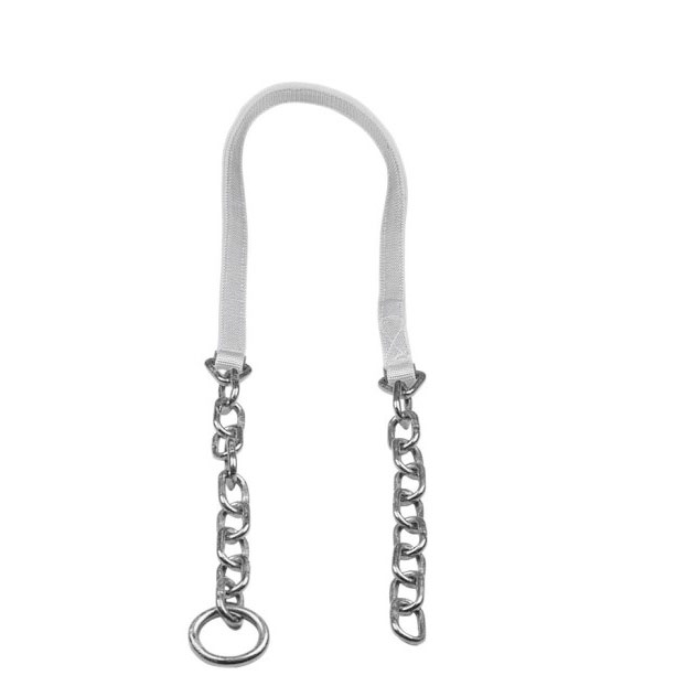 Cattle Connector Südstall 