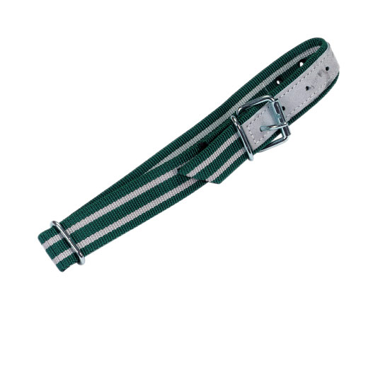 Halsriemen »mit Ovalglied und D-Ring« 