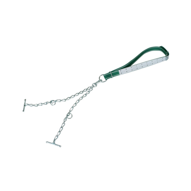 Binding for Young Bulls Standard  