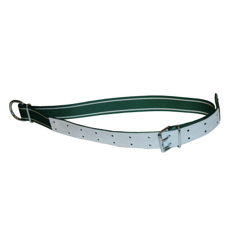 collar for Binding for Young Bulls 