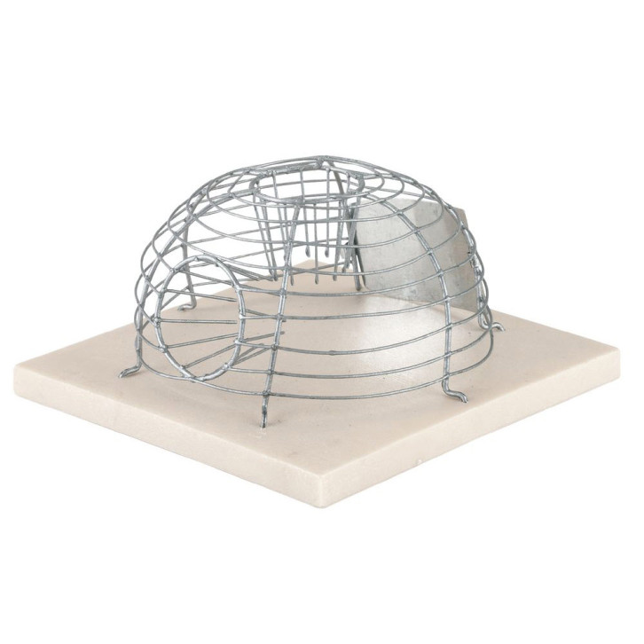 Cage Mouse Trap Alive  