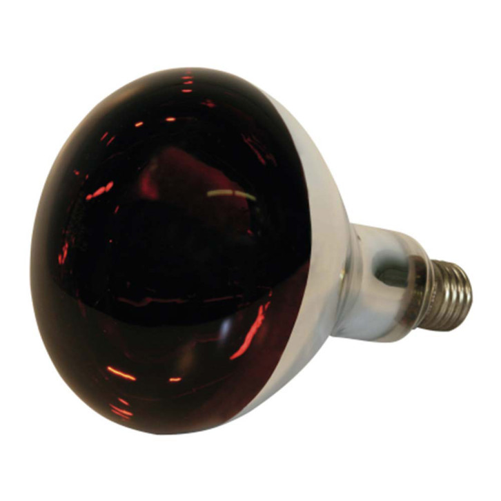 Infrared Heat Lamp  