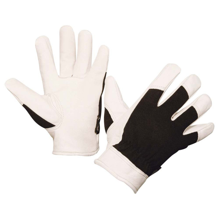 Graphix -Qualitätshandschuh 