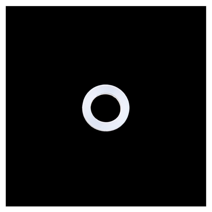 Dichtring für Druckminderer 