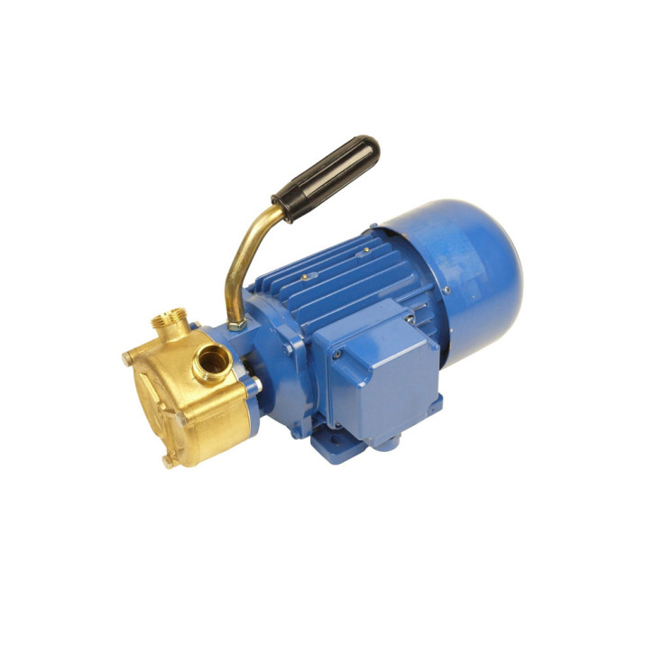 Diesel-Seitenkanal-Kreiselpumpe Bronze 12V mit Motor 