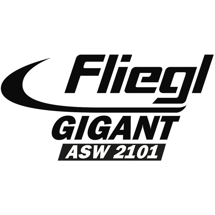 Aufkleber »GIGANT ASW 2101« - hinten 